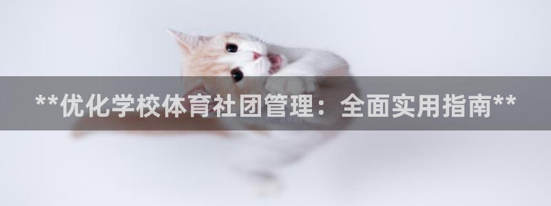 必一体育下载移动版：