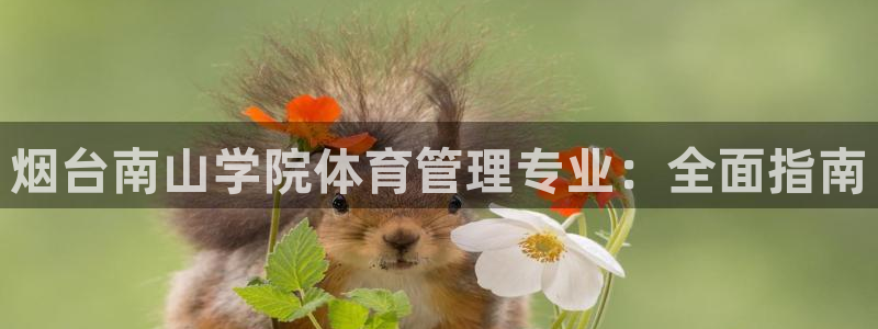 必一体育黑钱：烟台南