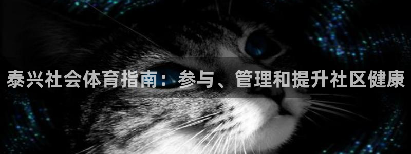 必一体育服下载最新版