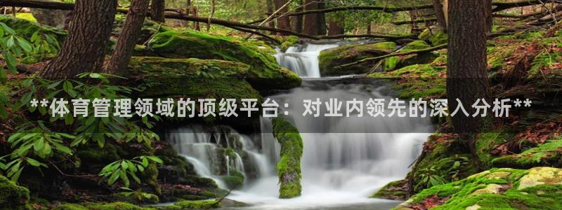 必一体育皮尔斯：**