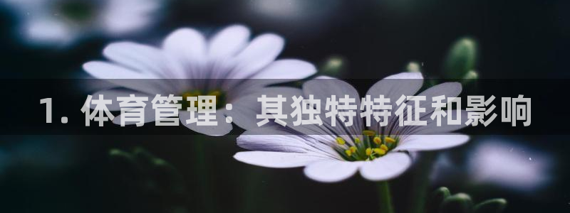 必一运动sport网