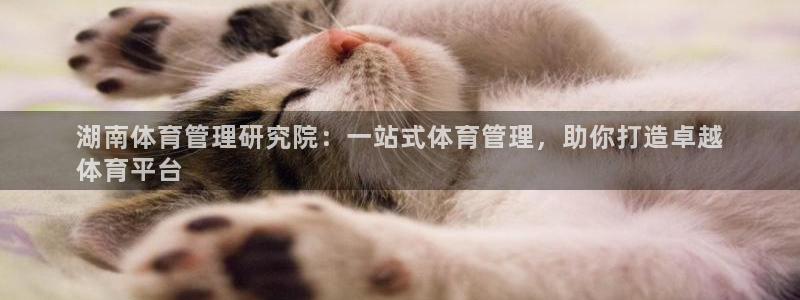 必一体育在线玩：湖南