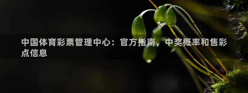 必一体育app官方正