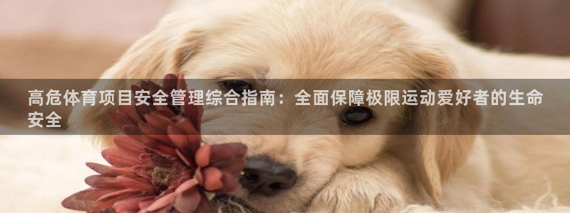 必一运动·(b-sp
