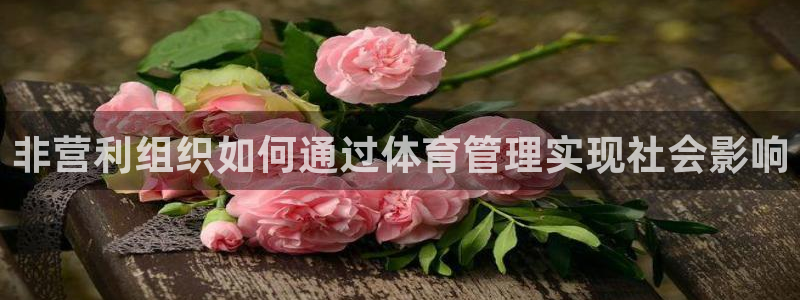 必一体育下载app：