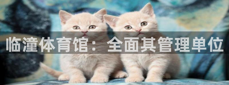 必一运动tieba.