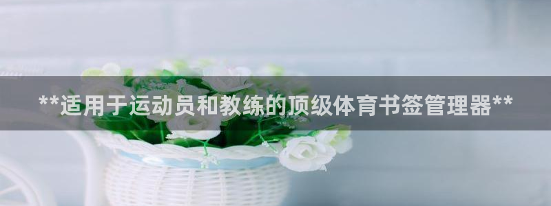 必一体育sport网