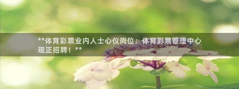 必一运动：**体育彩