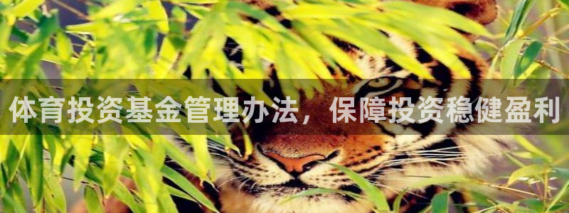 必一运动官网：体育投