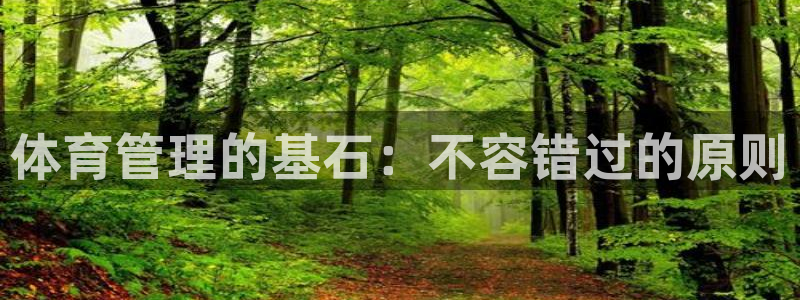 必一体育验证码：体育