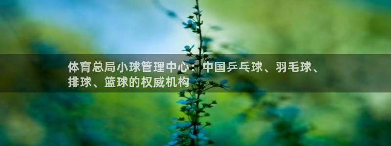 体育总局小球管理中心