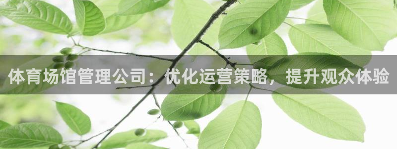 必一体育登入：体育场