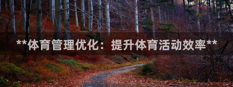 必一体育运动下载：*