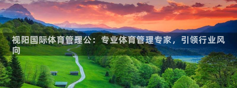 必一体育旧版：视阳国