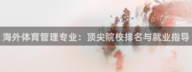 必一体育网页登录版官