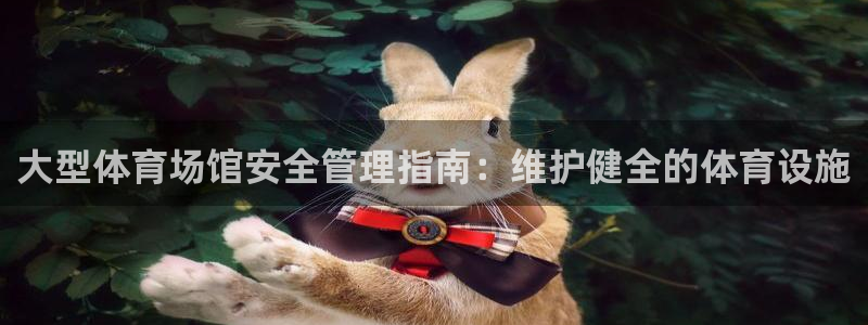 必一运动体育官网下载