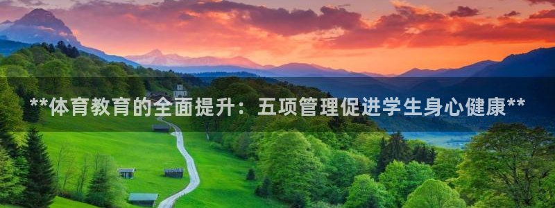 必一体育游戏玩法：*