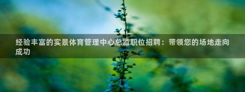 必一体育网页登录版官