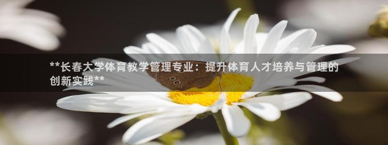 必一体育官方app下