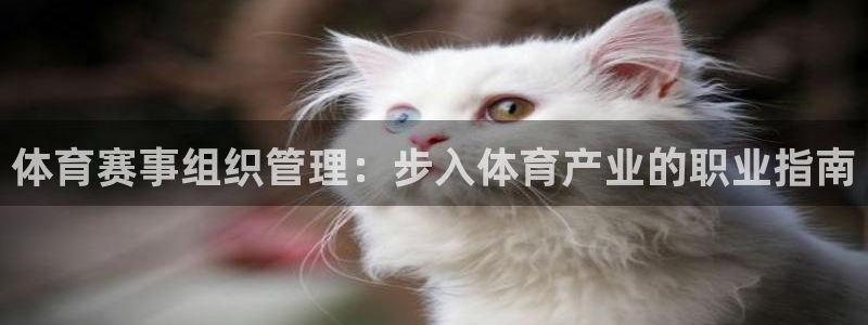 必一体育下载意思：体