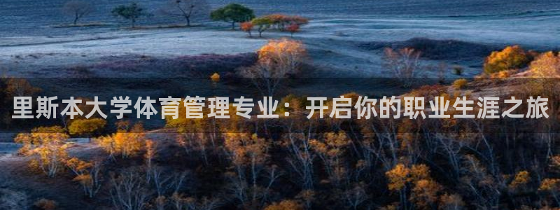 必一体育黑钱：里斯本