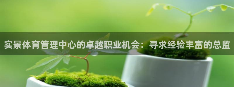 必一体育下载app：