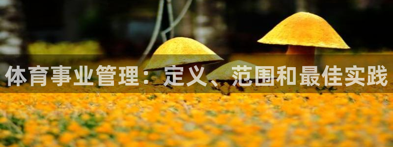 必一体育平台：体育事