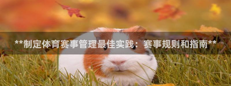必一体育app官方正
