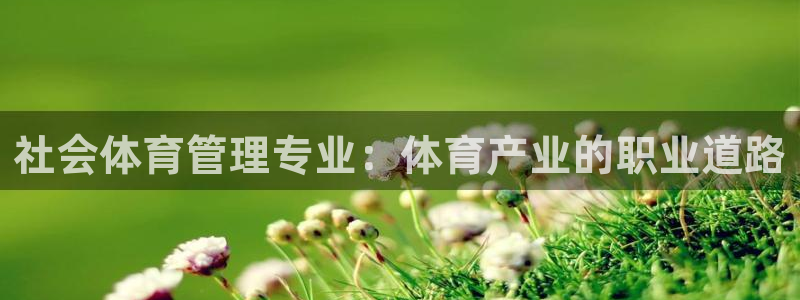 必一体育黑平台：社会