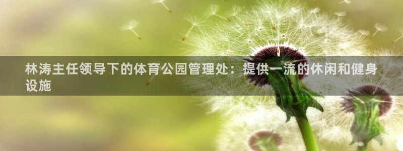 必一体育在线玩：林涛