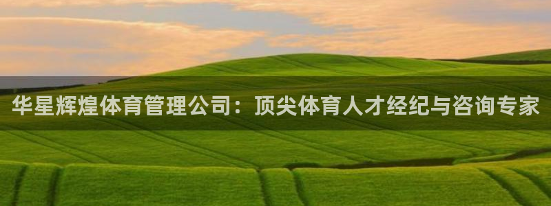 必一体育网站：华星辉