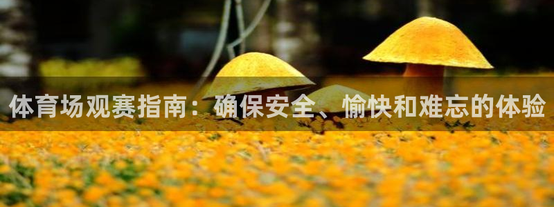 必一体育网页版登录：