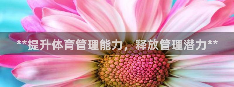 必一体育网页登录版官