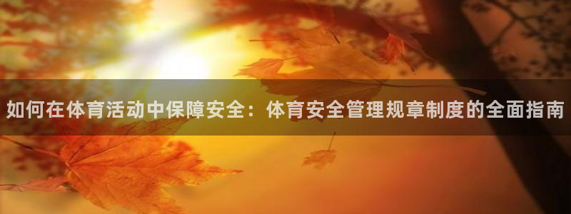 必一体育网页登录版官