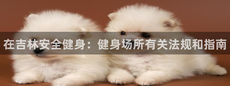 必一体育app官方网