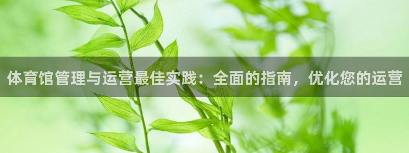 必一体育app官方下