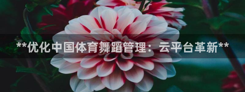 必一体育官方app下