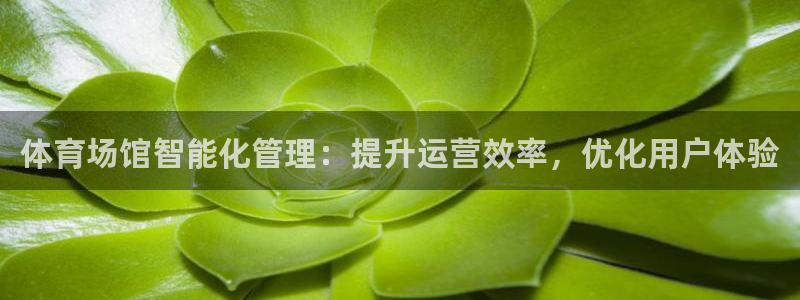 必一运动验证码：体育