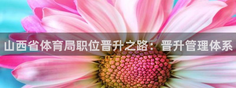 必一体育流水线是什么