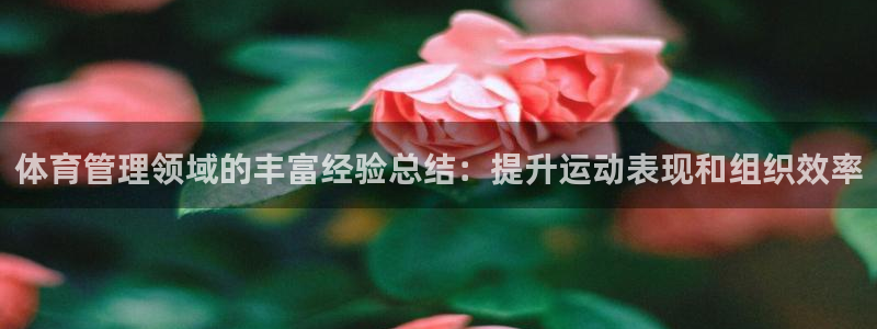 必一体育网页版登录：