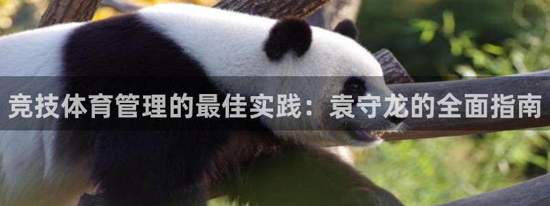 必一运动：竞技体育管