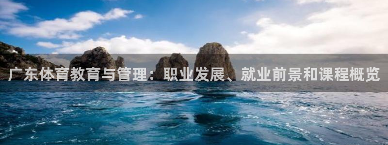 必一体育运动下载：广