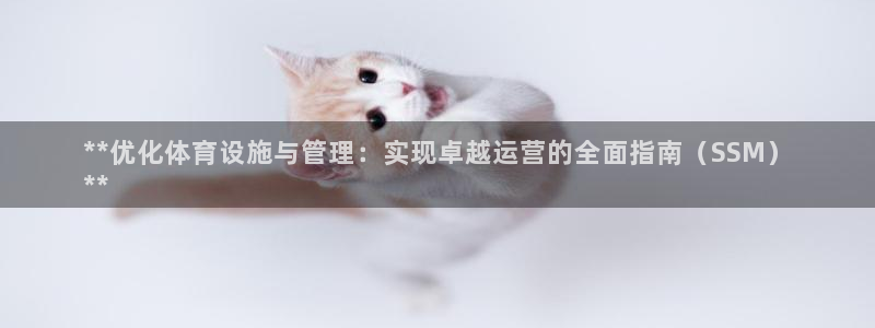 必一体育sportB