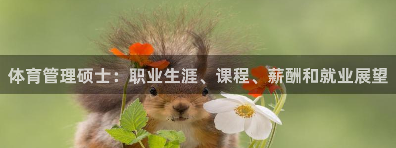 必一运动bsport