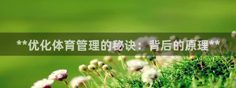 必一体育登录：**优