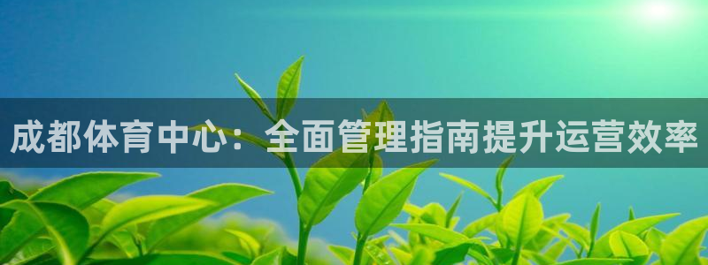 必一体育官网ios下