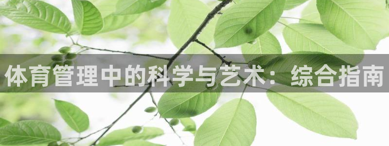 必一体育周公：体育管