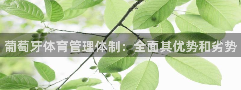 必一运动体育官网：葡