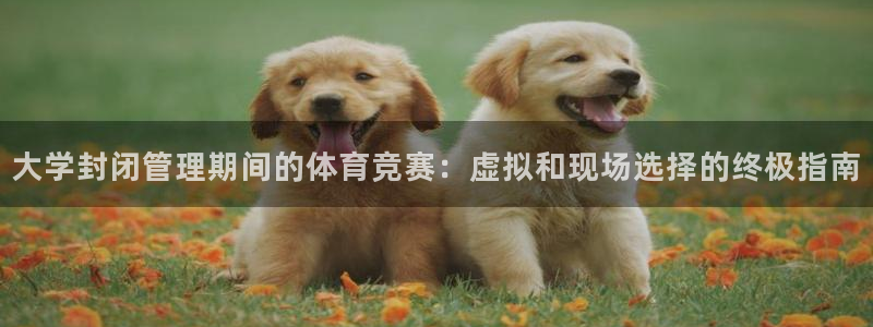 必一运动bsport