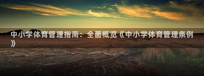 必一体育周公：中小学
